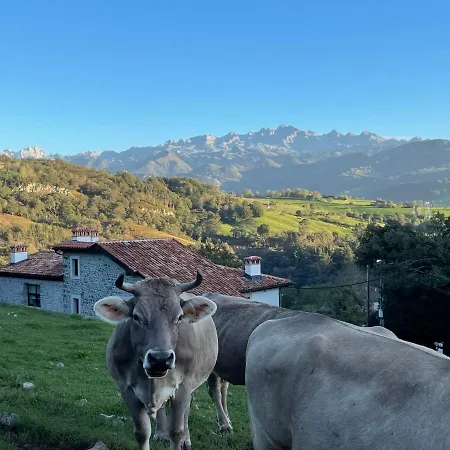 Picabel Onís