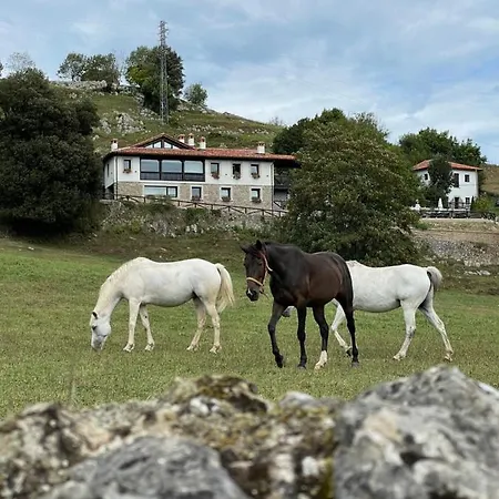 Picabel * Onís