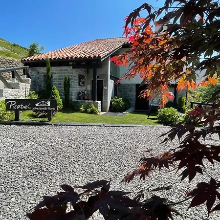 Picabel Onís
